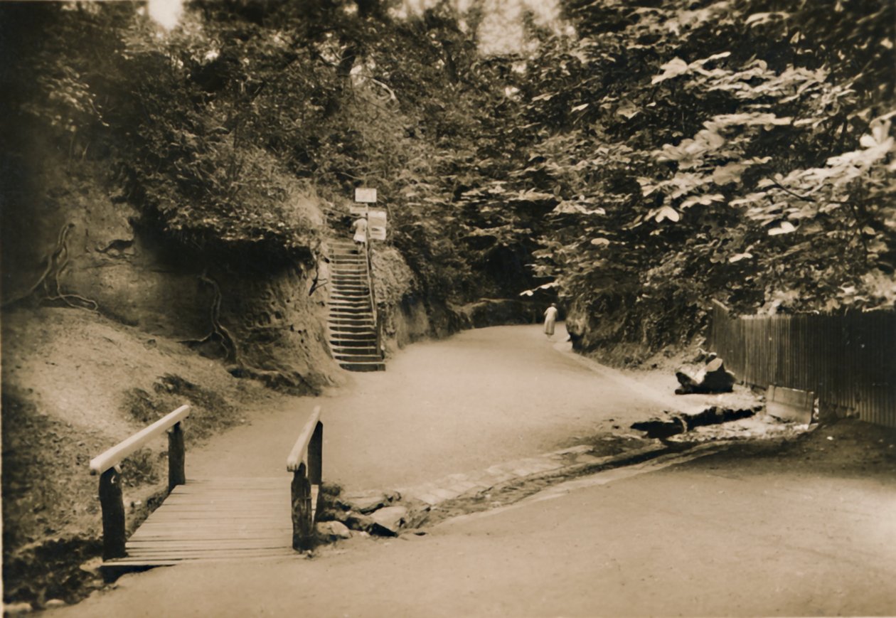 Chine Hollow, Shanklin, I.W., c1920. od Unbekannt