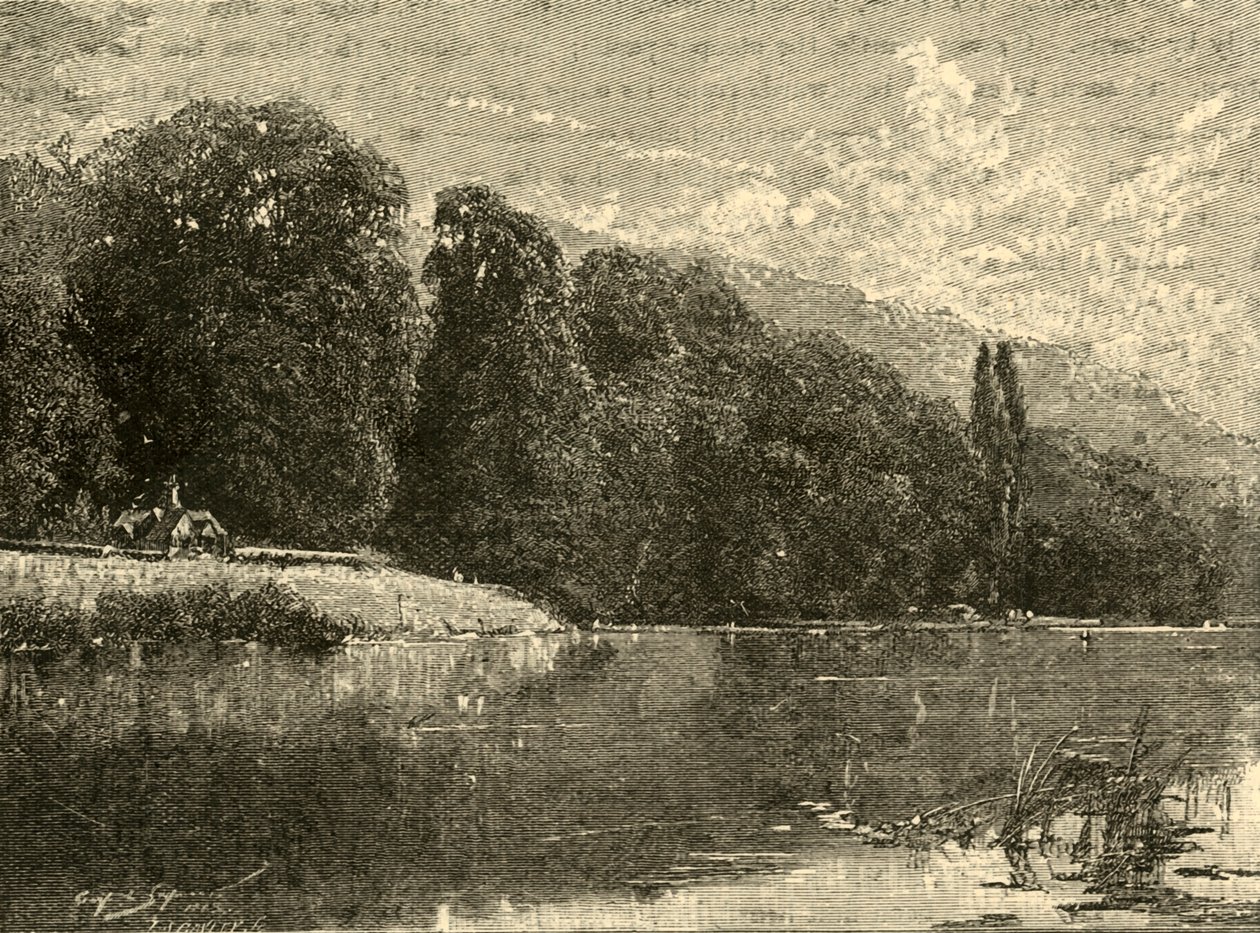 Cliefden Woods, 1898. od Unbekannt