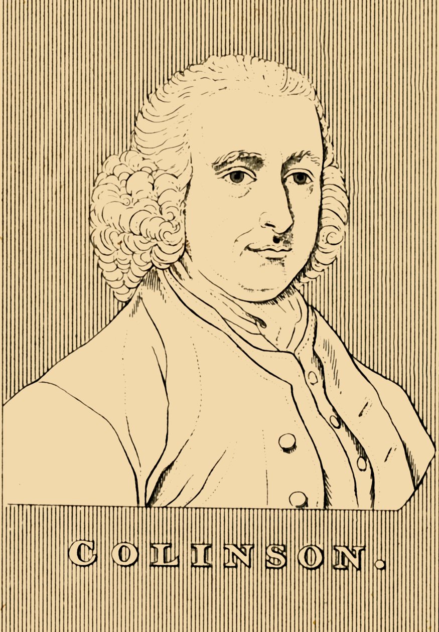 Collinson, 1694-1768, 1830. od Unbekannt