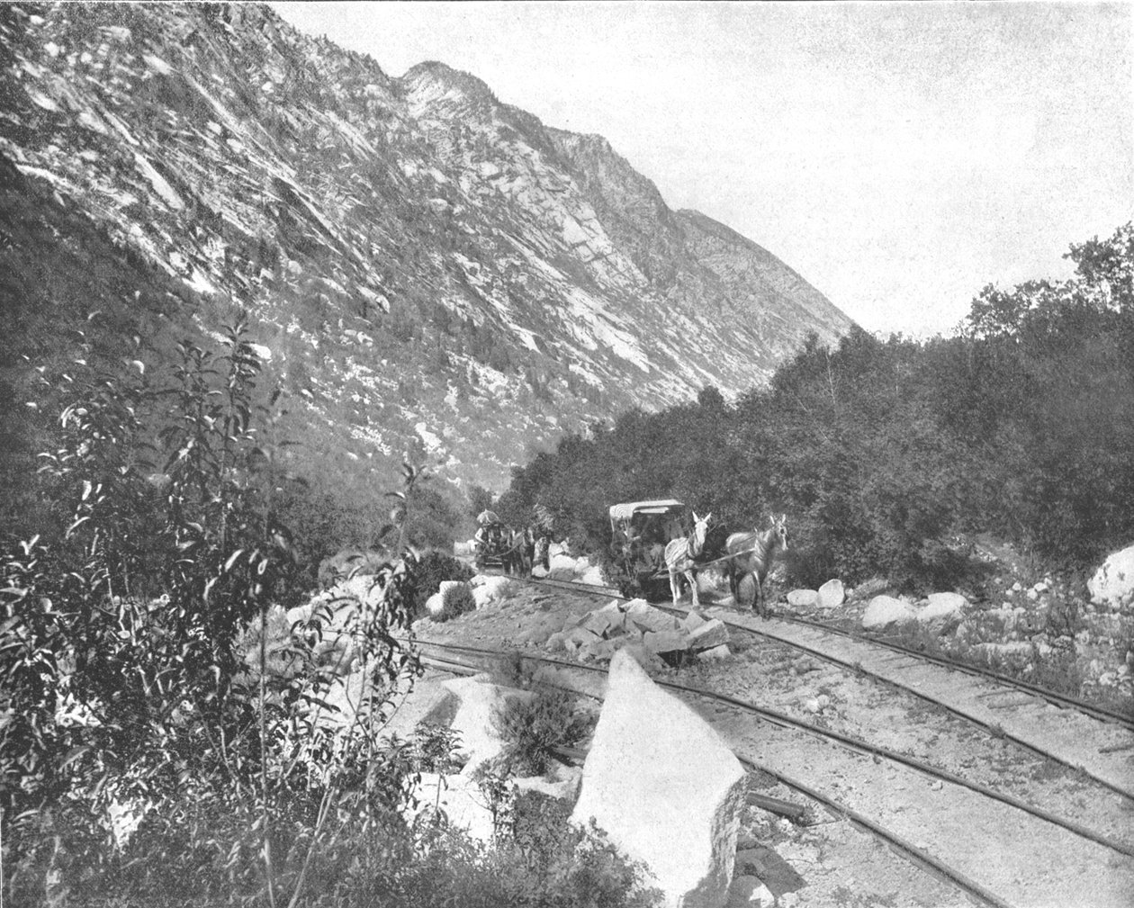 Cottonwood Canyon, Utah, USA, c1900. od Unbekannt
