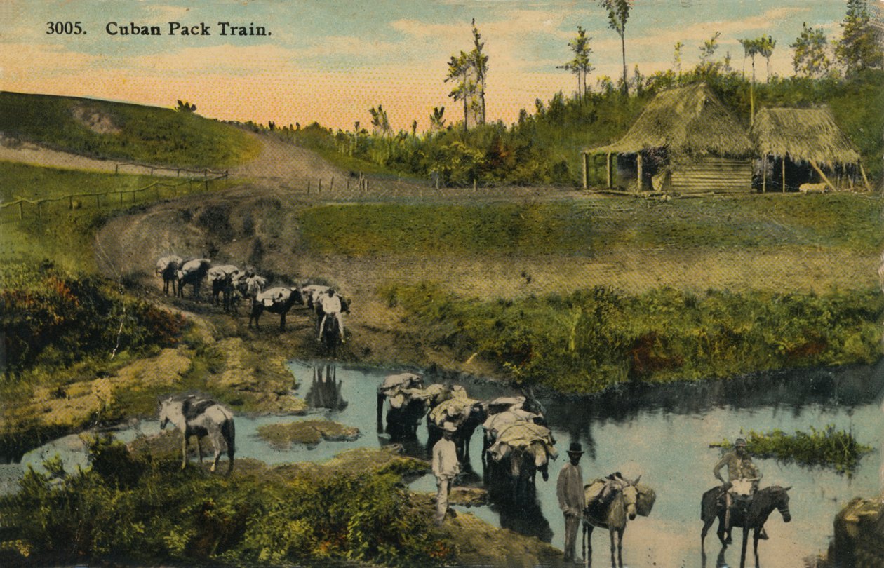 Cuban Pack Train, c1910 od Unbekannt