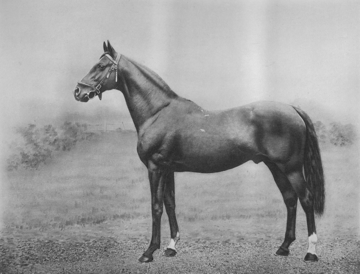 Cylene, 1911 od Unbekannt