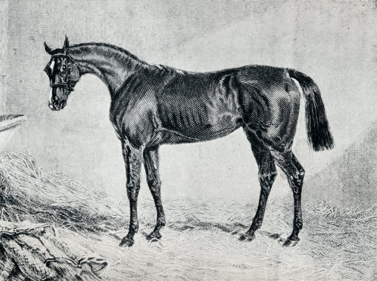 Cyprián, 19. století, 1911 od Unbekannt
