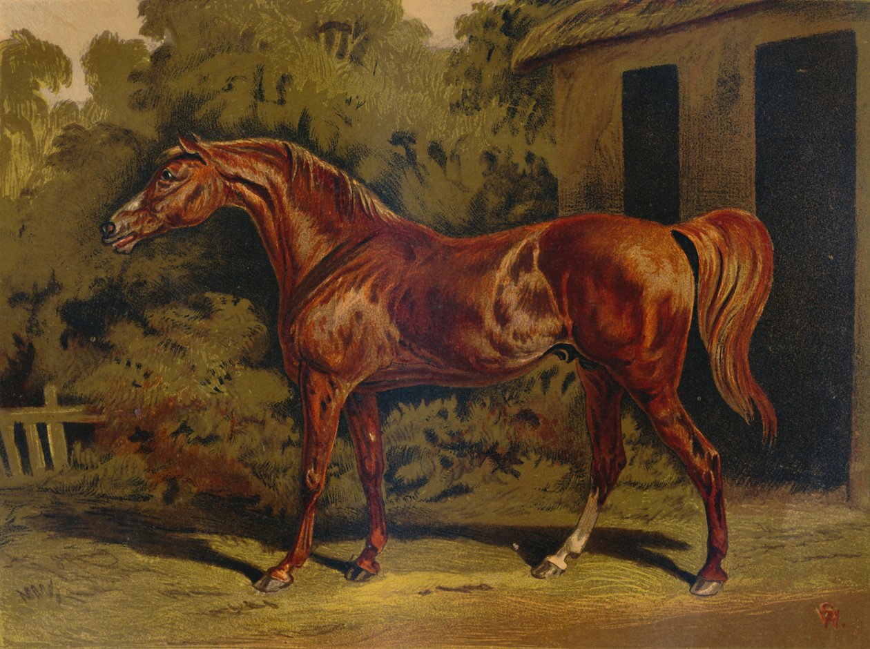 Eclipse, c1879. od Unbekannt