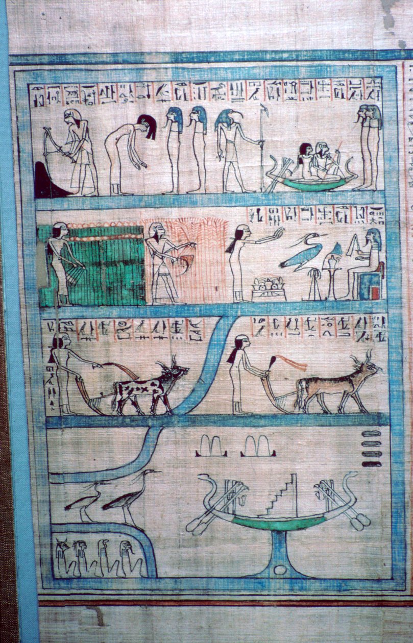 Egyptský obrázek zemědělství v Elysian Fields od Unbekannt