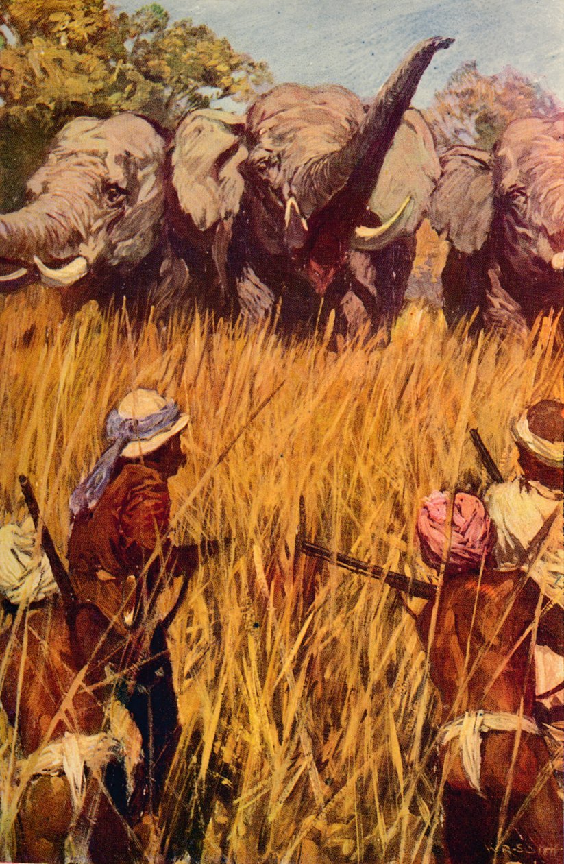 Elephants in Chase, c1850 c1912 od Unbekannt
