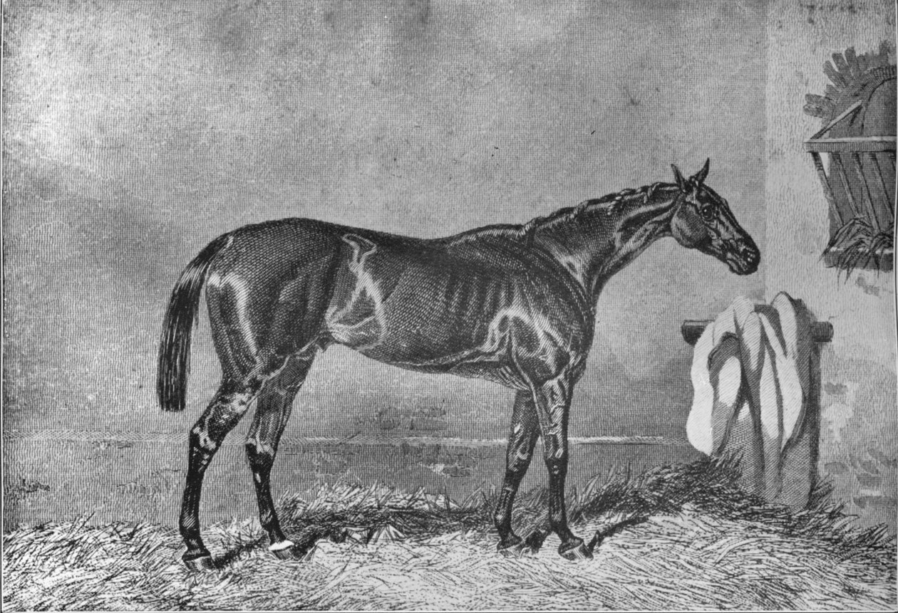 Ellington, 1853-1870, 1911 od Unbekannt