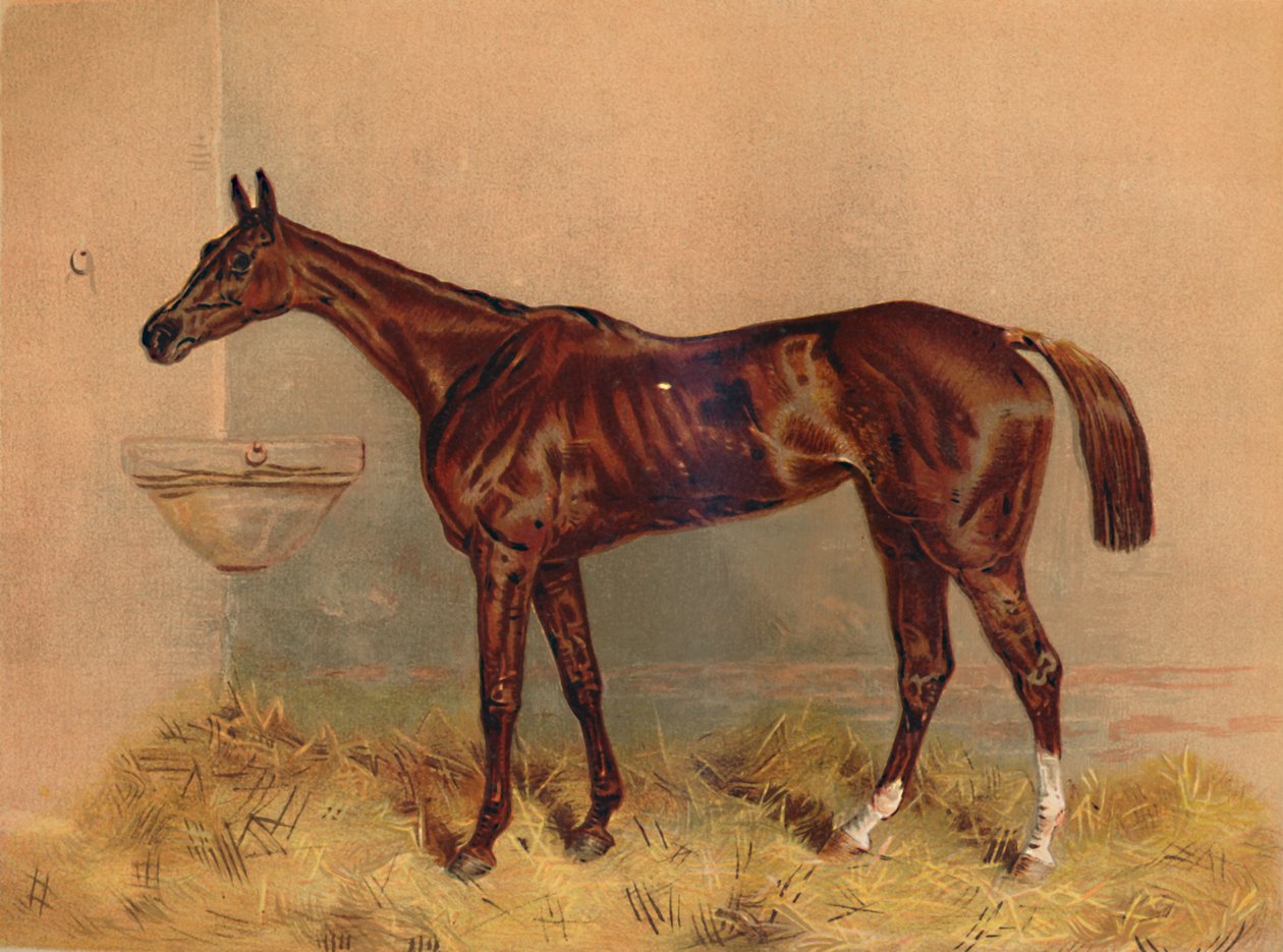 Emblem, Steeplechase Mare, c1879. od Unbekannt