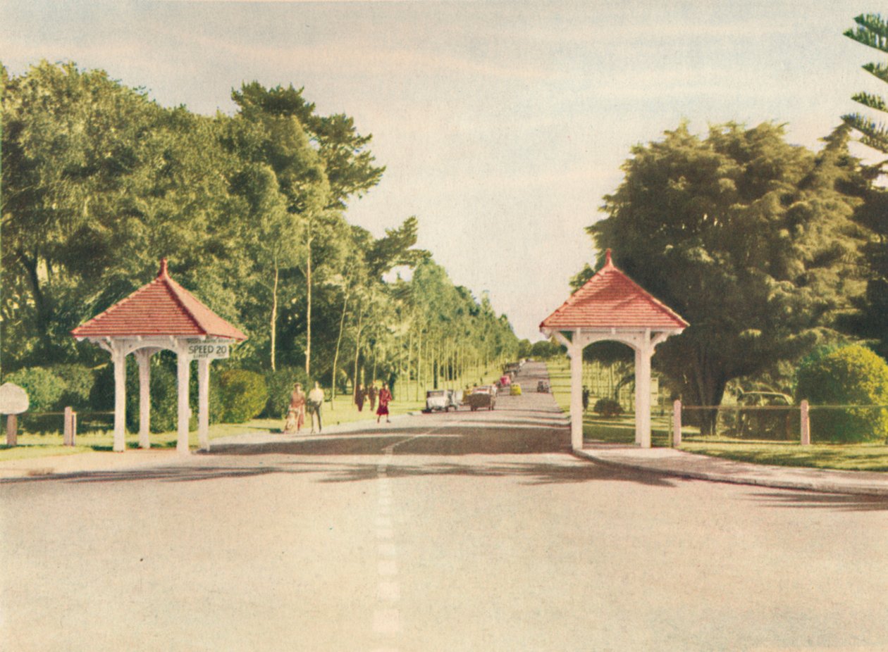Vchod do Kings Parku, c1947. od Unbekannt