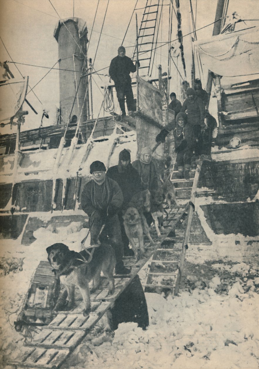 Exercising the Dogs, 1936 od Unbekannt