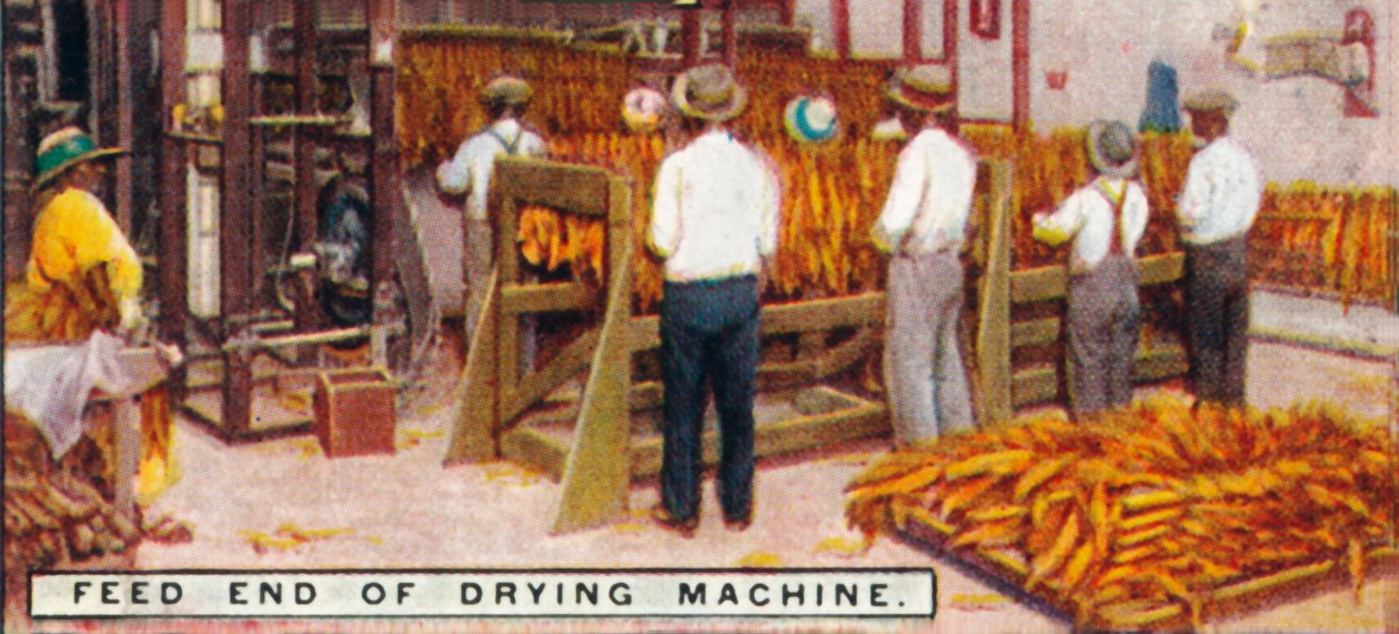Feed End of Dry Machine, 1926 od Unbekannt