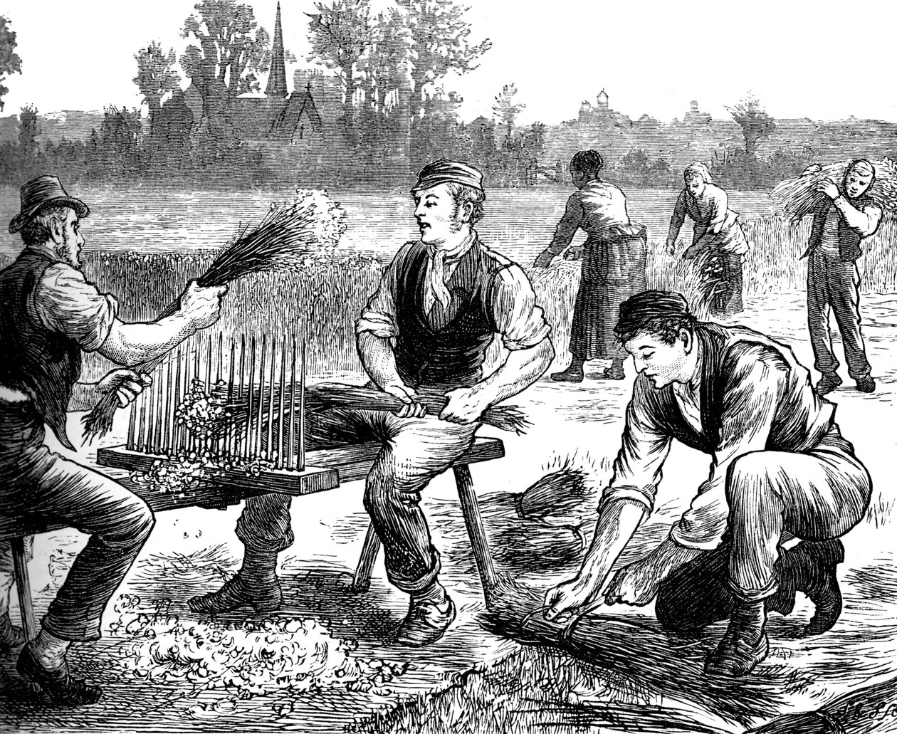 Vlnění lnu, c1880 od Unbekannt
