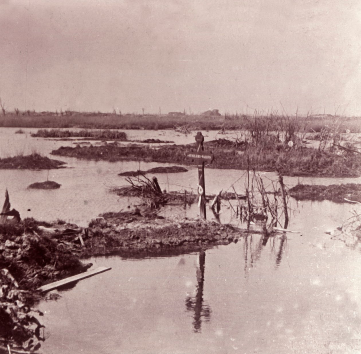 Záplavy, Flandry, Belgie, c1914-c1918 od Unbekannt