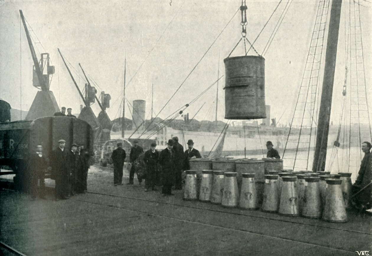 French Milk Being Landing at Southampton, 1902. od Unbekannt