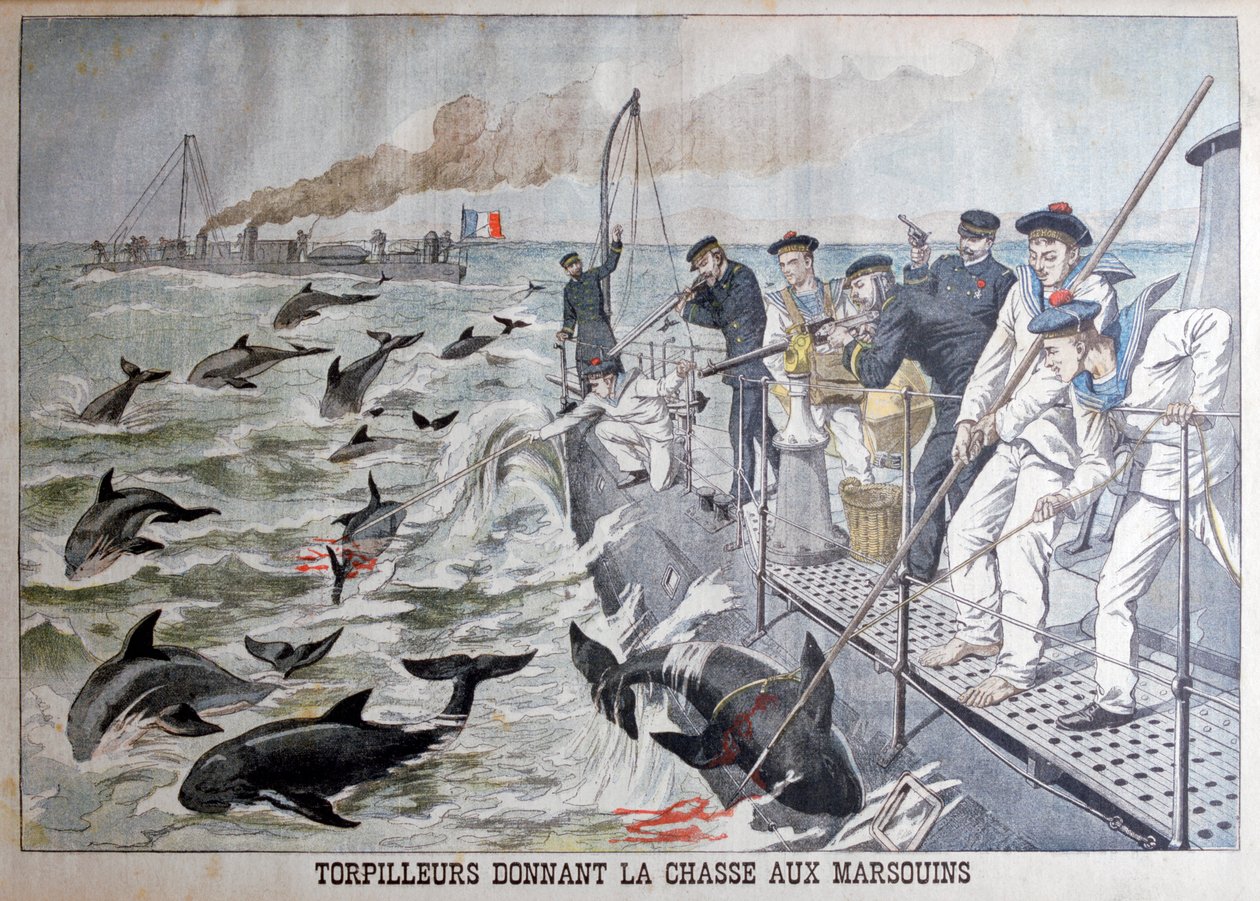 Francouzské torpédové čluny lovící sviňuchy, 1903 od Unbekannt