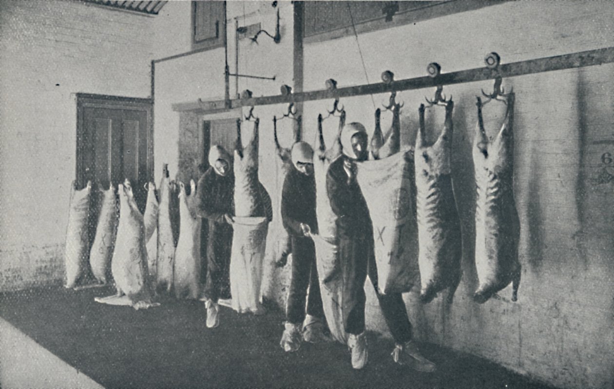 Mražené maso, 1910 od Unbekannt