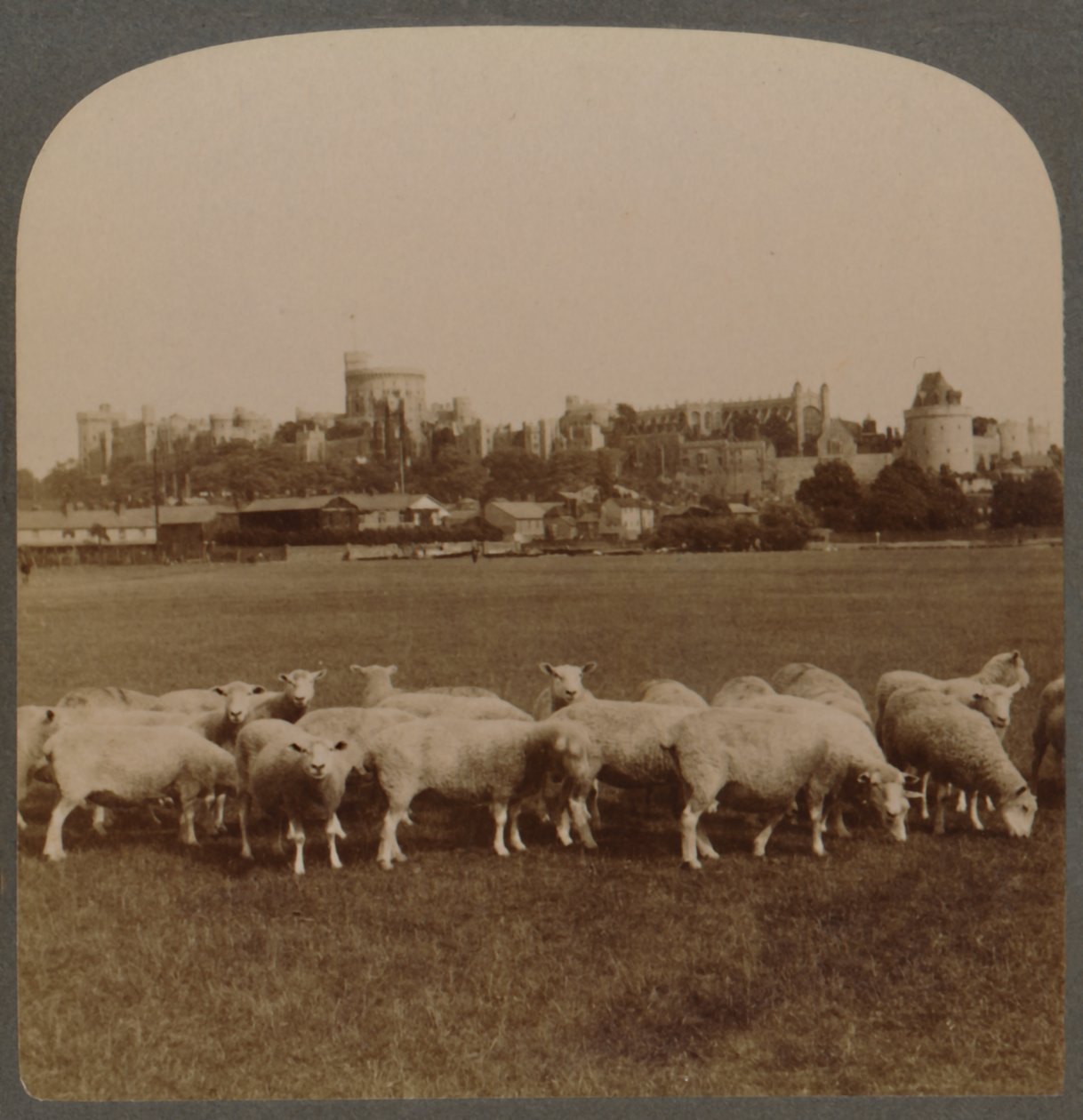 Obecný pohled na hrad Windsor, Anglie, 1896. od Unbekannt