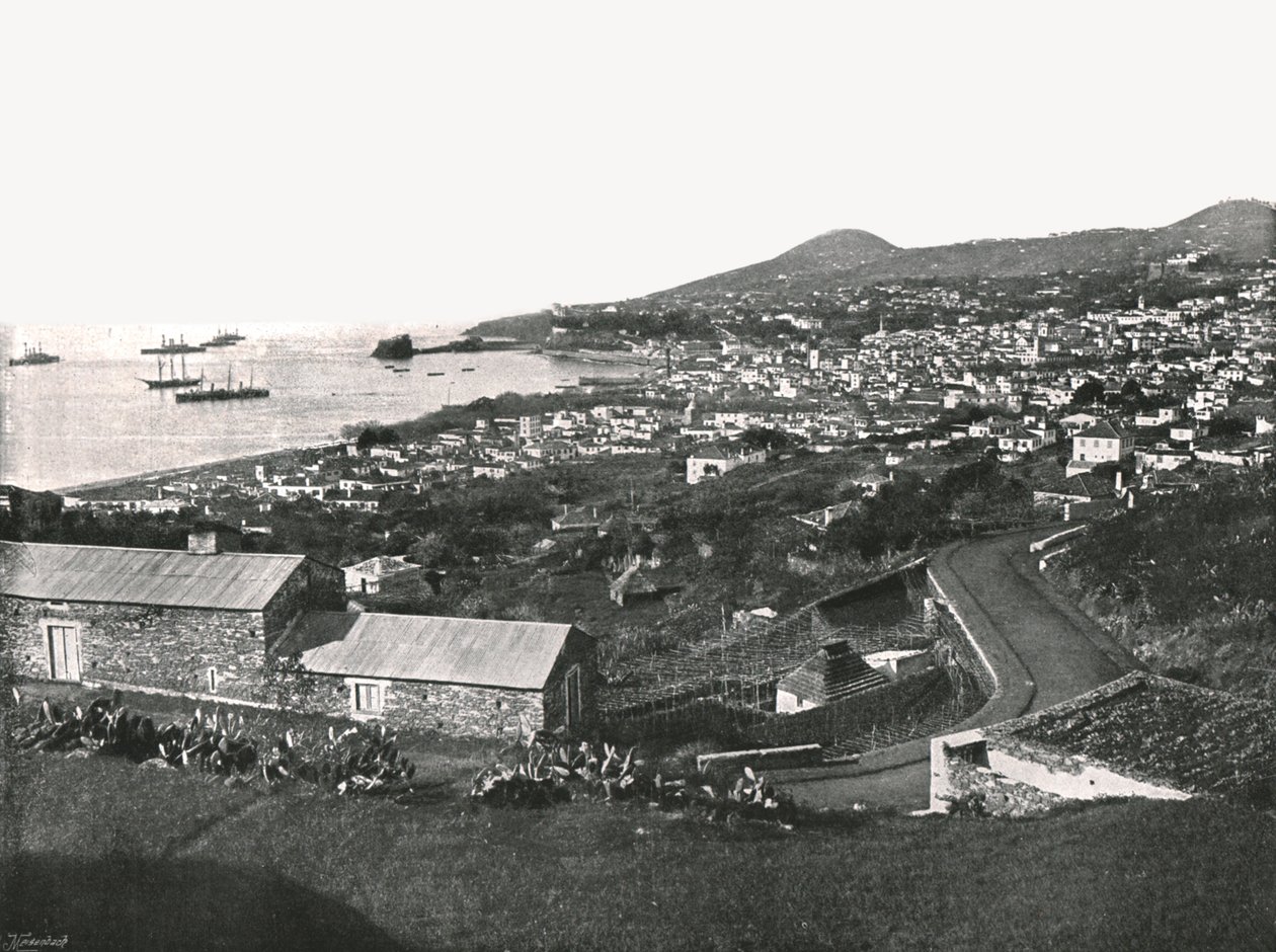 Celkový pohled na Funchal, Madeira, Portugalsko, 1895. od Unbekannt