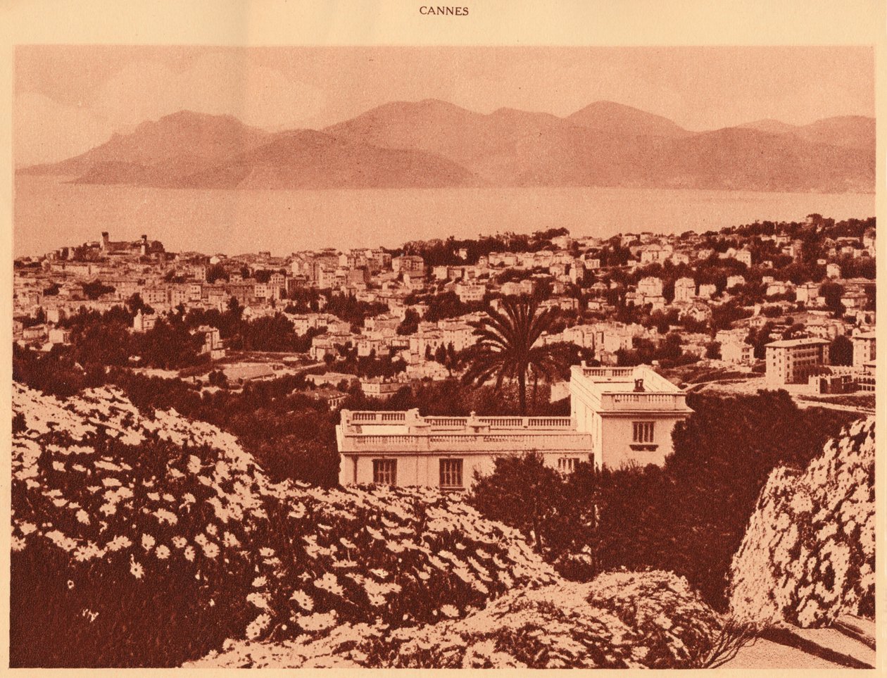 Celkový pohled z Pezou, Cannes, 1930. od Unbekannt