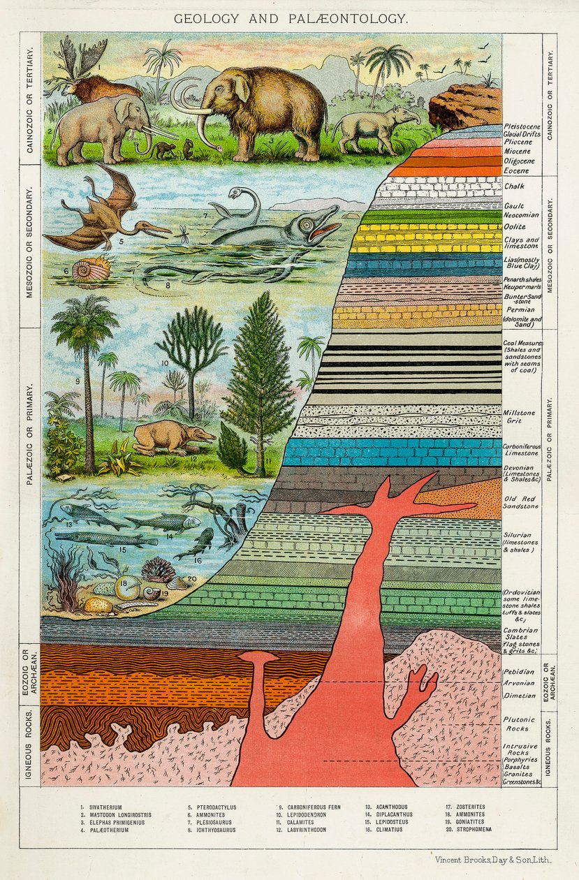 Geologie a paleontologie, c1880 od Unbekannt