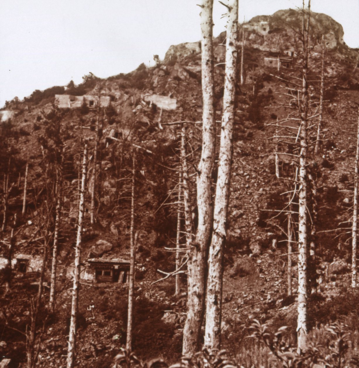 Německé linie, c1914-c1918 od Unbekannt
