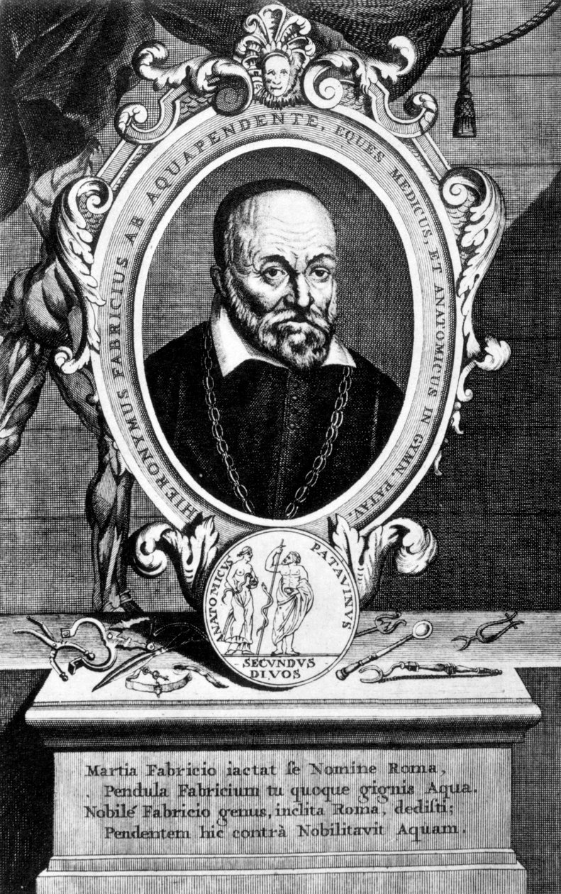 Girolamo Fabrici, italský anatom a chirurg, 17. století od Unbekannt