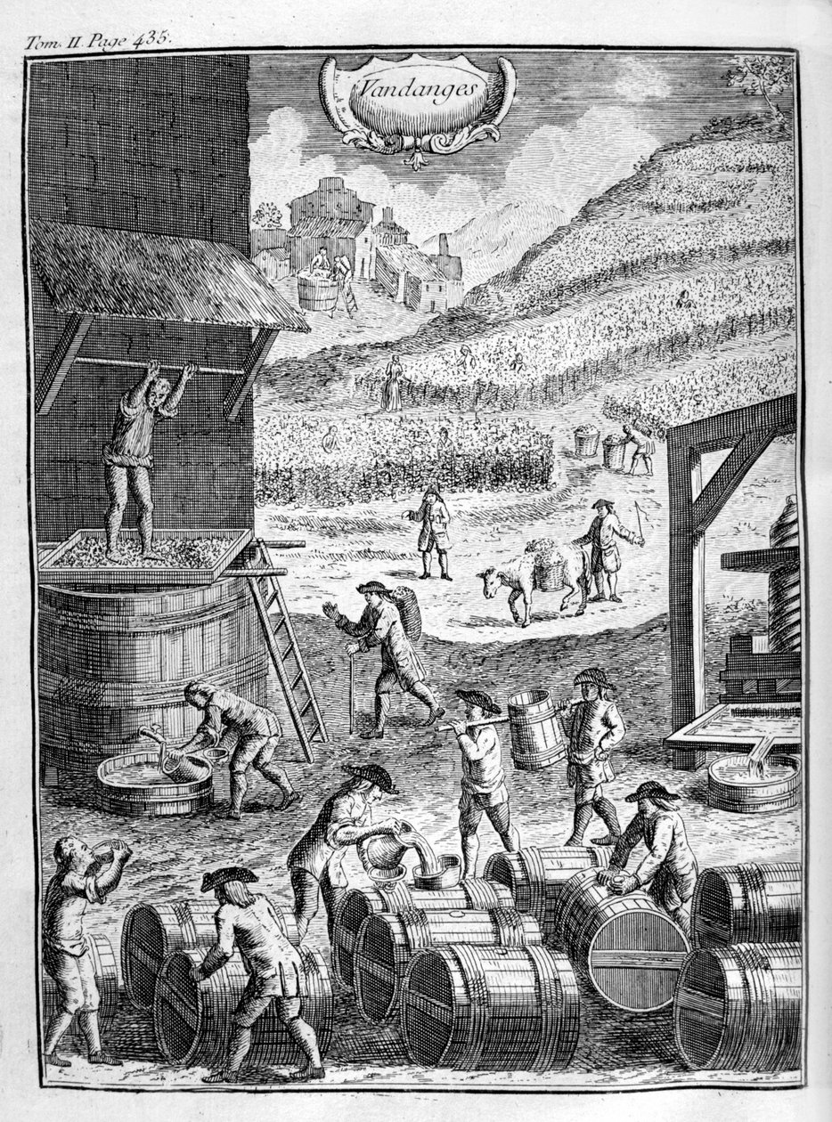 Sklizeň hroznů, 1775 od Unbekannt