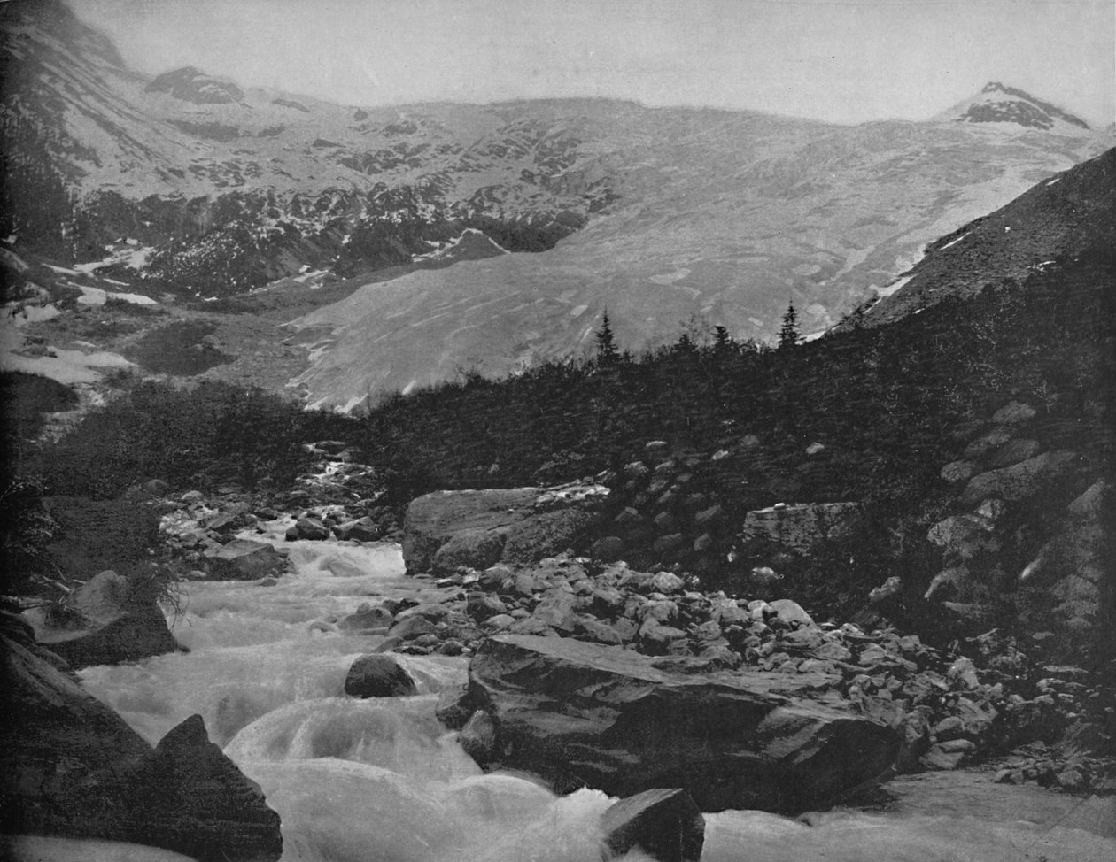 Velký ledovec, Selkirk Mountains, Kanada, c1897. od Unbekannt