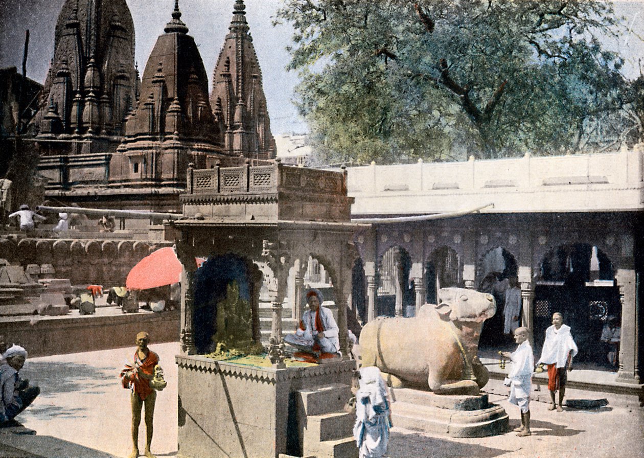Gyan Bapi Well of Knowledge, Varanasi, Indie, c1890 od Unbekannt
