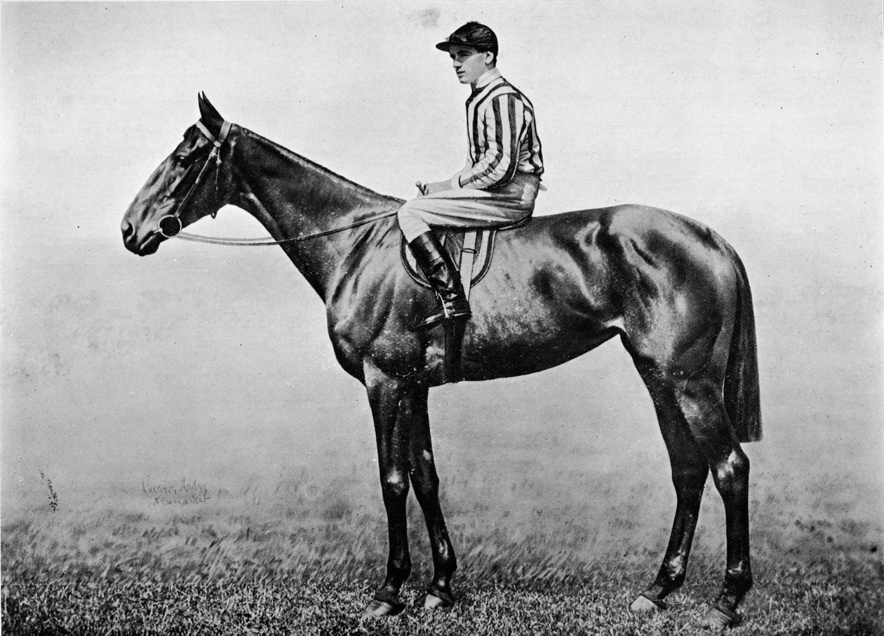 Hacklers Pride, c1860, 1911 od Unbekannt