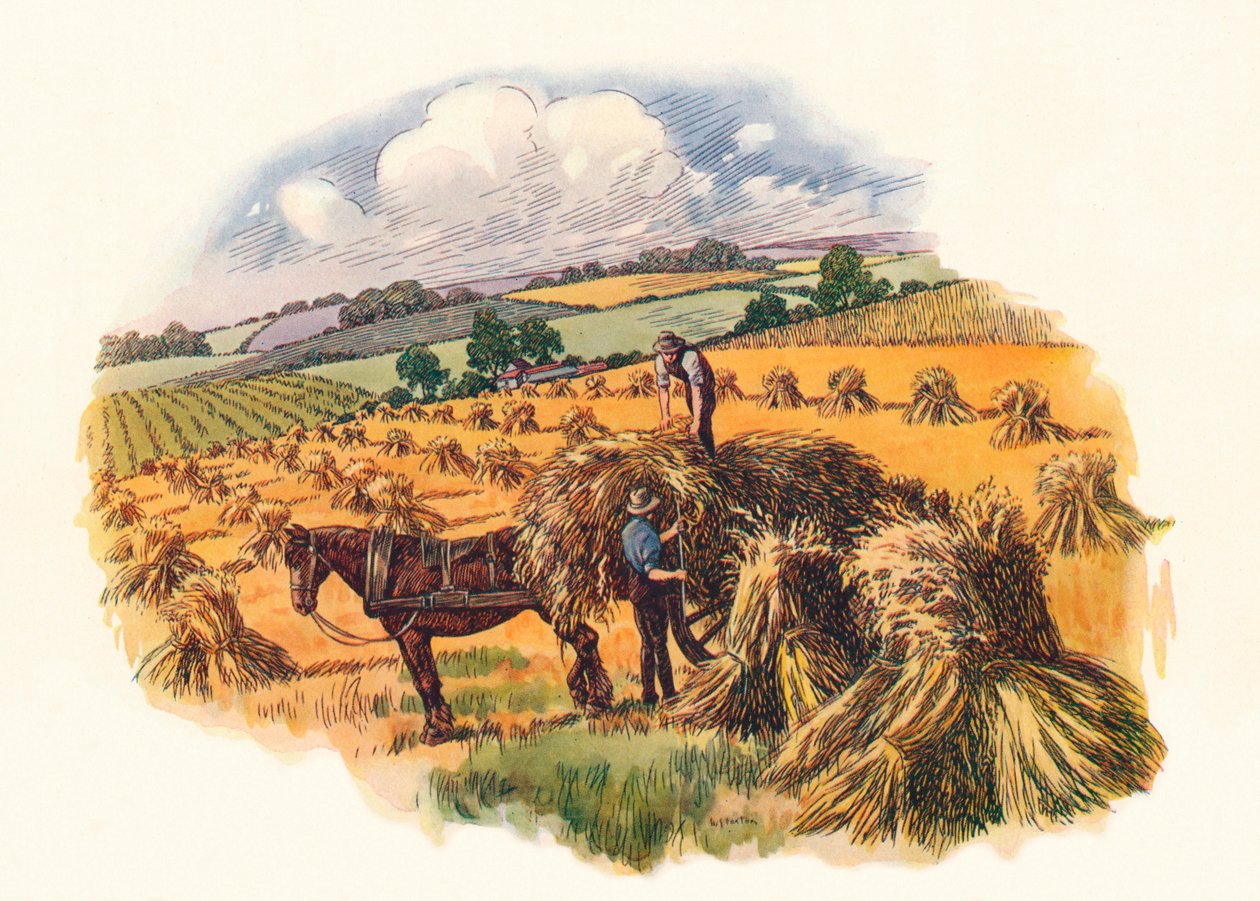 Sklizeň v Tolpuddle, 1824, 1934 od Unbekannt