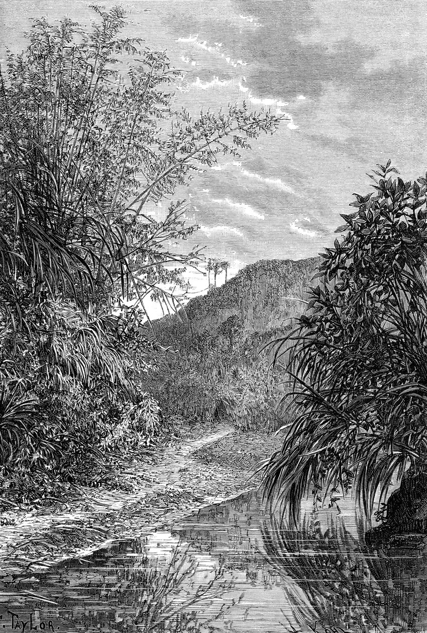 Krajina Vysočiny, Formosa, c1890 od Unbekannt