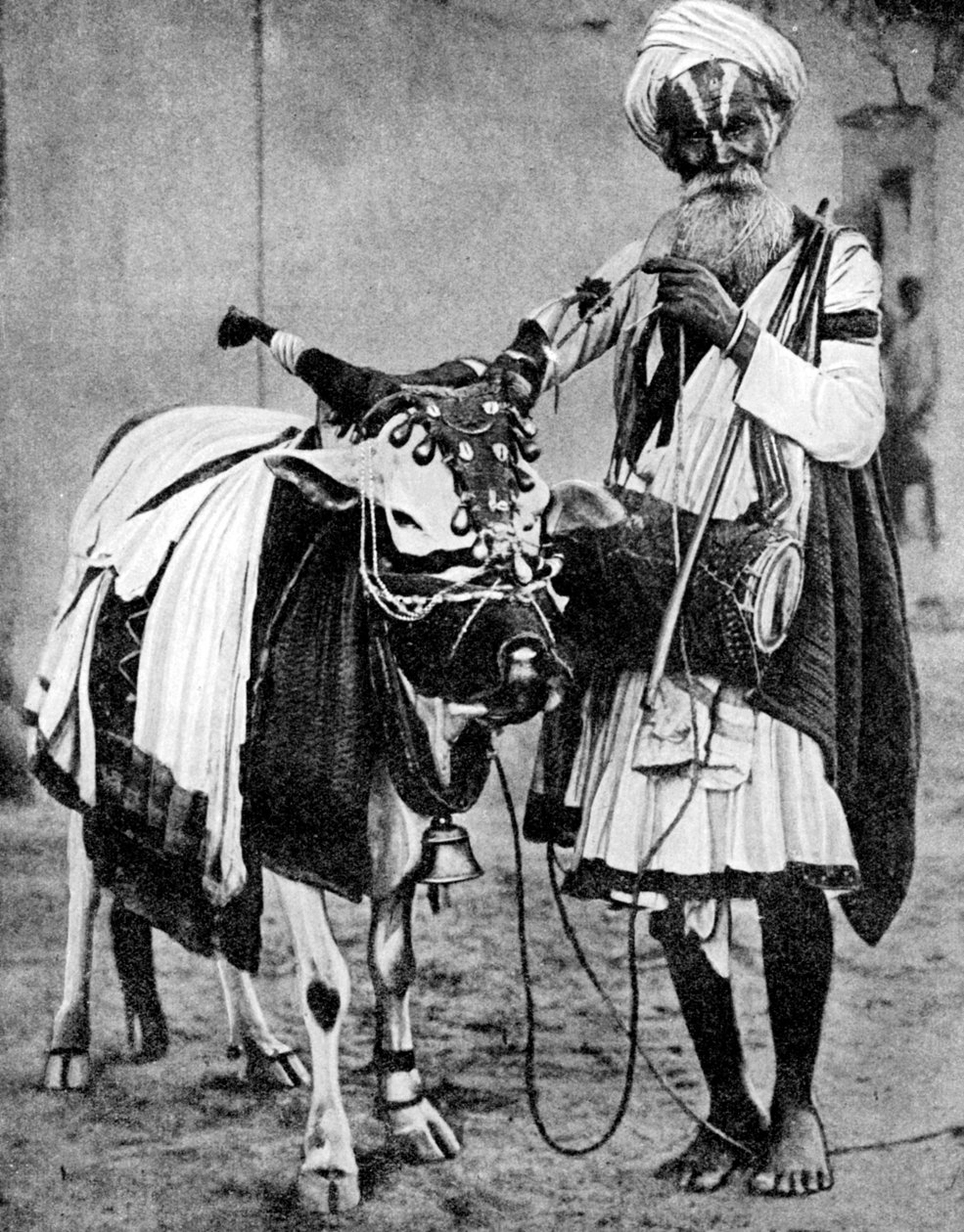 Hinduistická kráva s posvátnou krávou, Indie, 1936 od Unbekannt