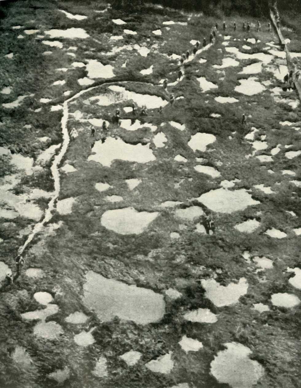 Jak počasí bránilo postupu, 1919. od Unbekannt