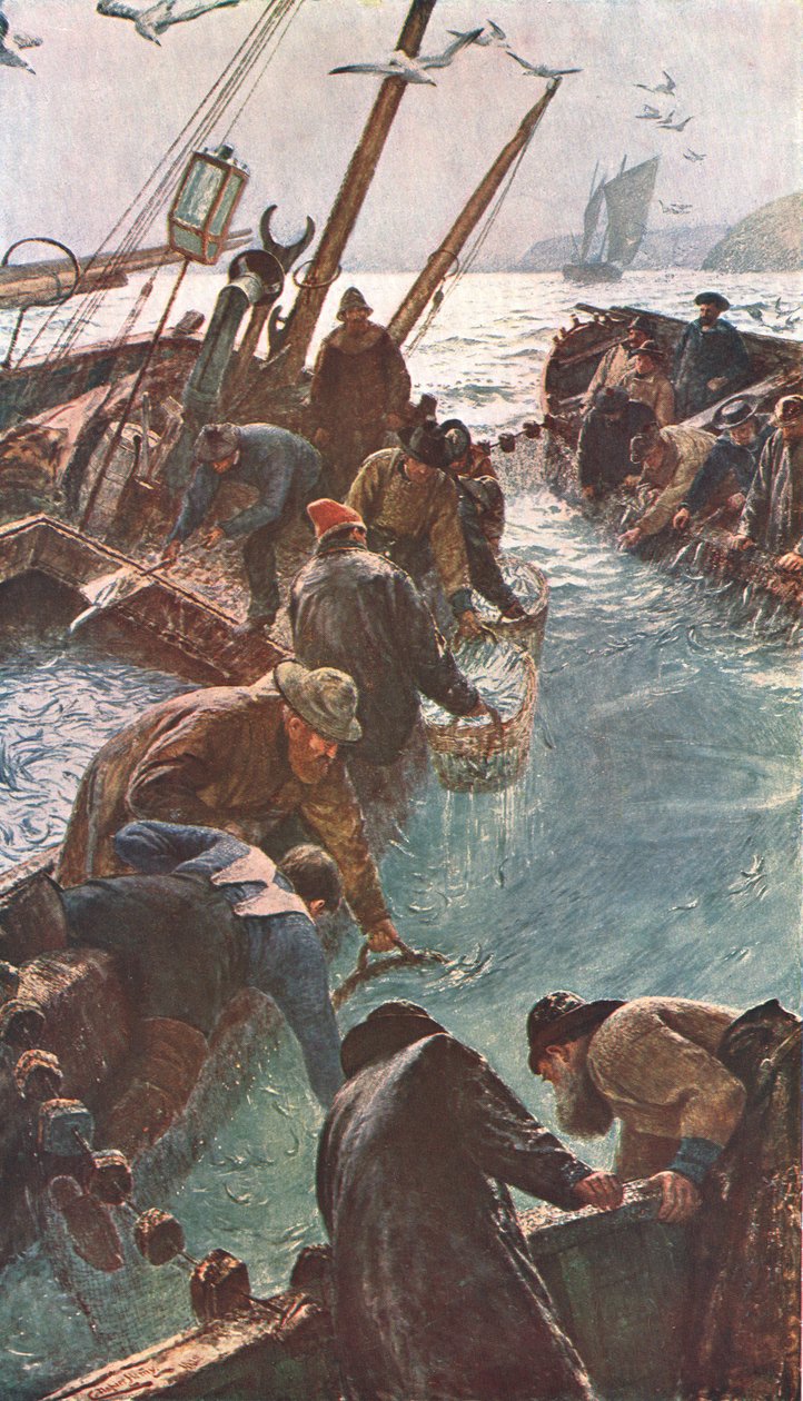 Jak jsme chytili Pilchards, 1895, c1902. od Unbekannt