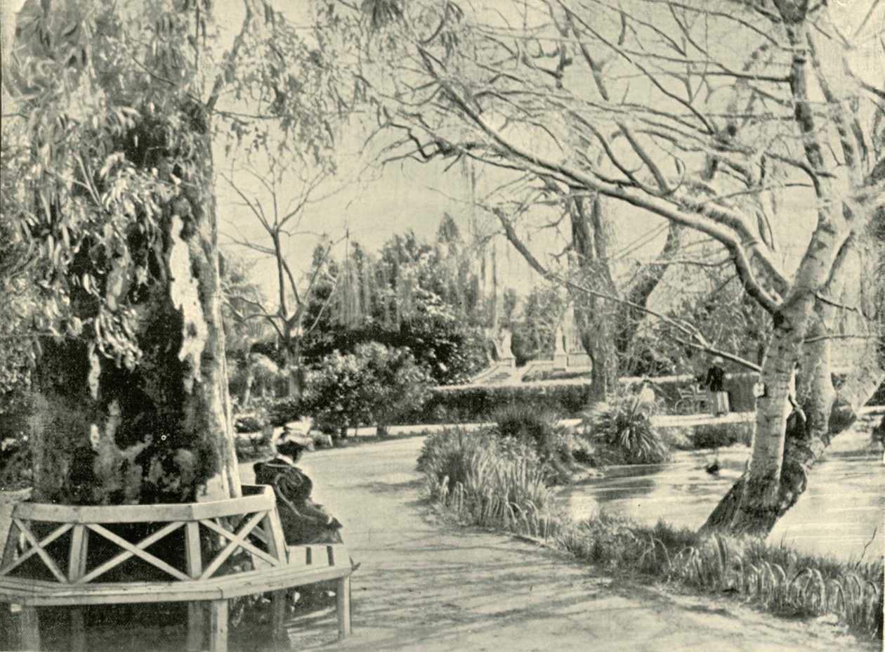 V botanické zahradě, Adelaide, 1901. od Unbekannt