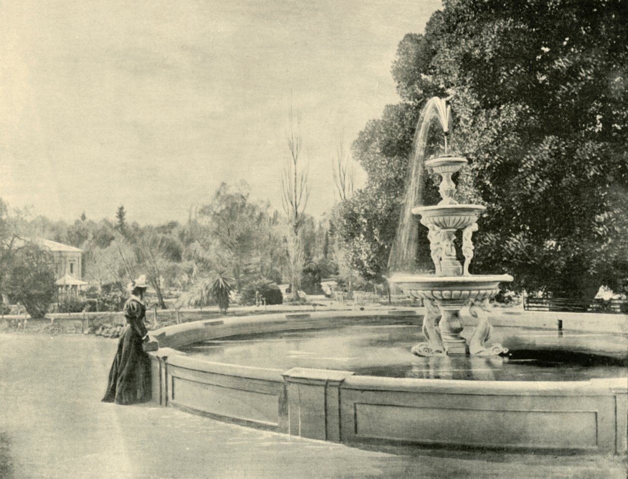 V botanické zahradě, Adelaide, 1901. od Unbekannt