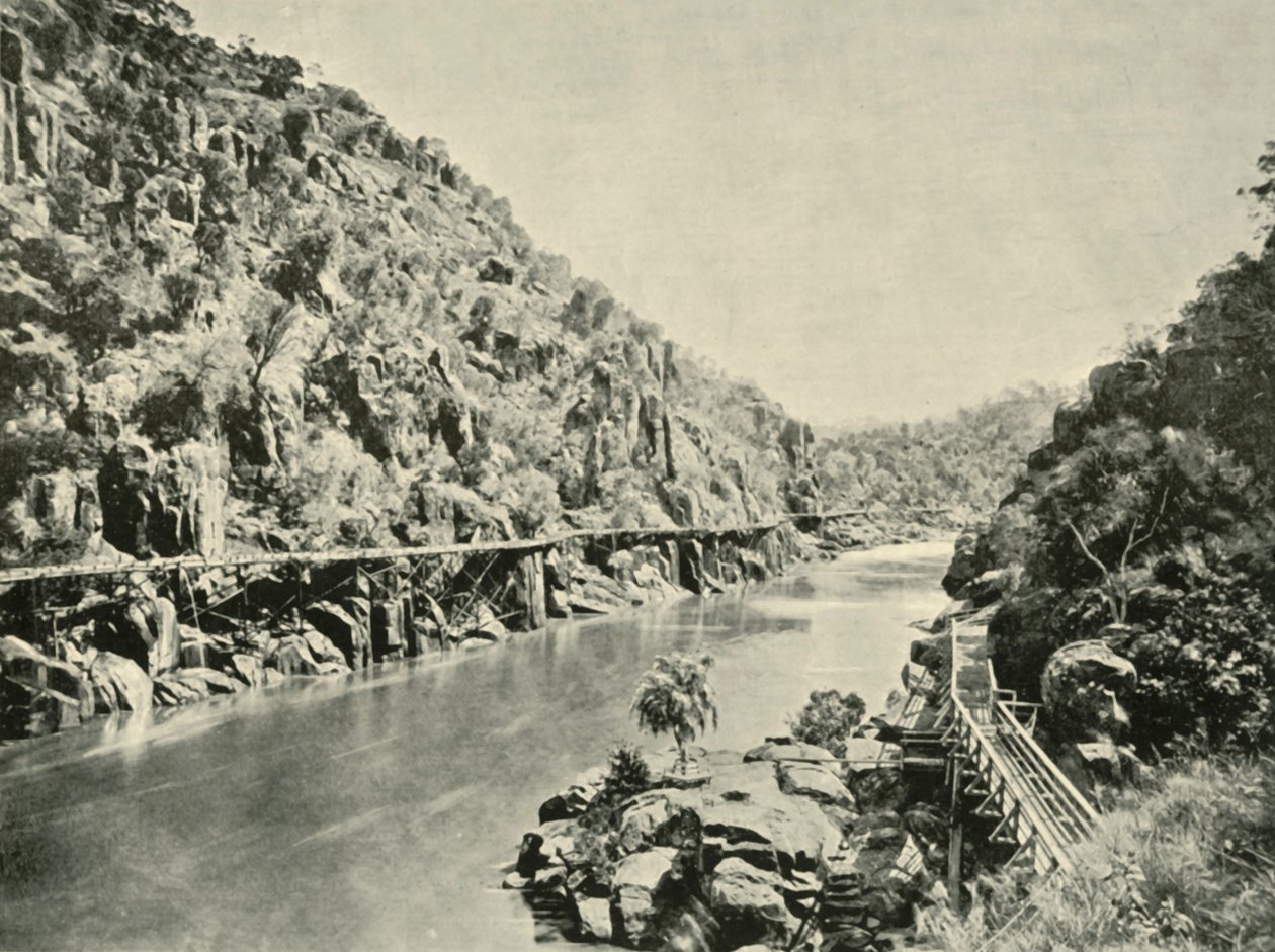 V roklině šedého zákalu, 1901. od Unbekannt