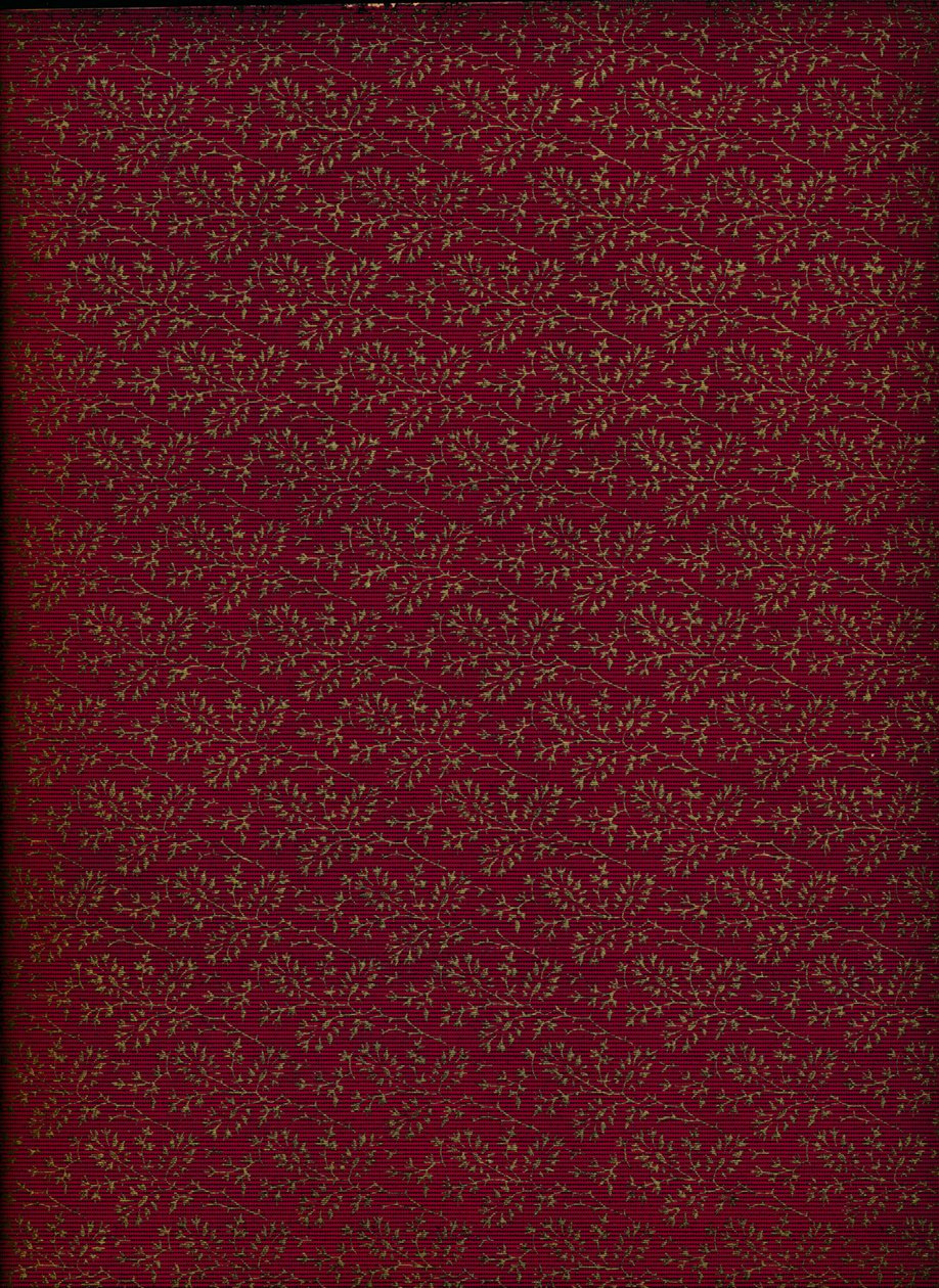 Vnitřní vzor obálky, 1901, 1901 od Unbekannt