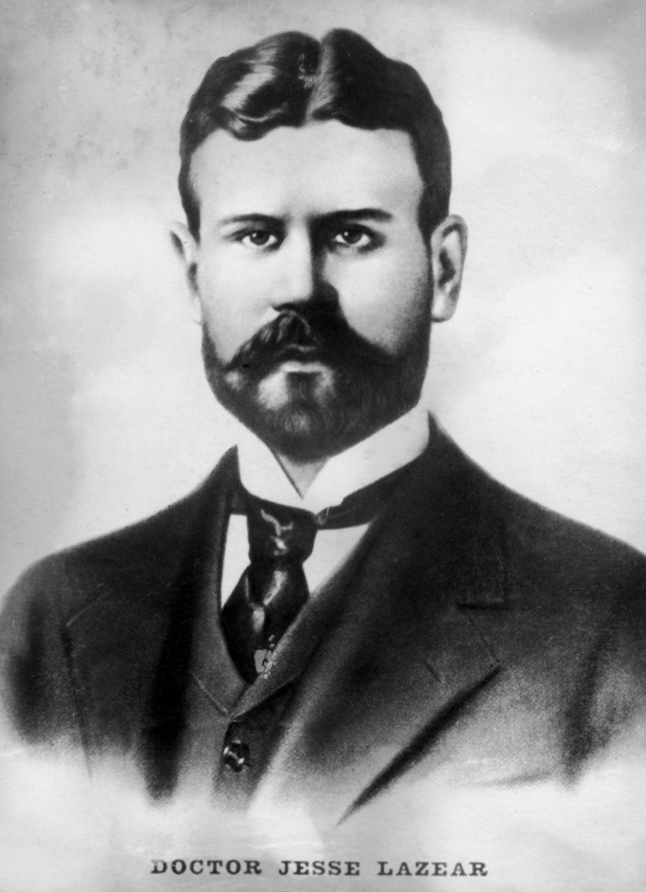 Jesse Lazear, 1866-1900, 20. léta 20. století od Unbekannt