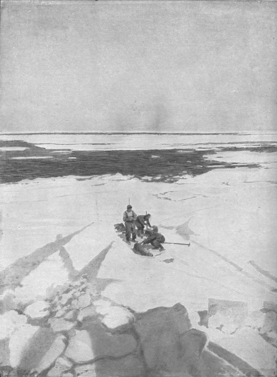 Killing Seals, 1911, 1928 od Unbekannt