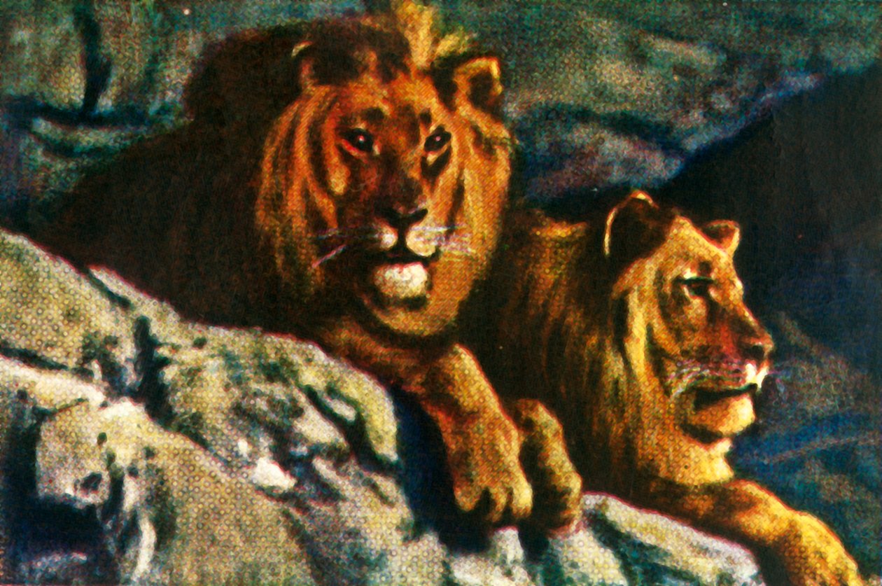 Lvi, c1928. od Unbekannt