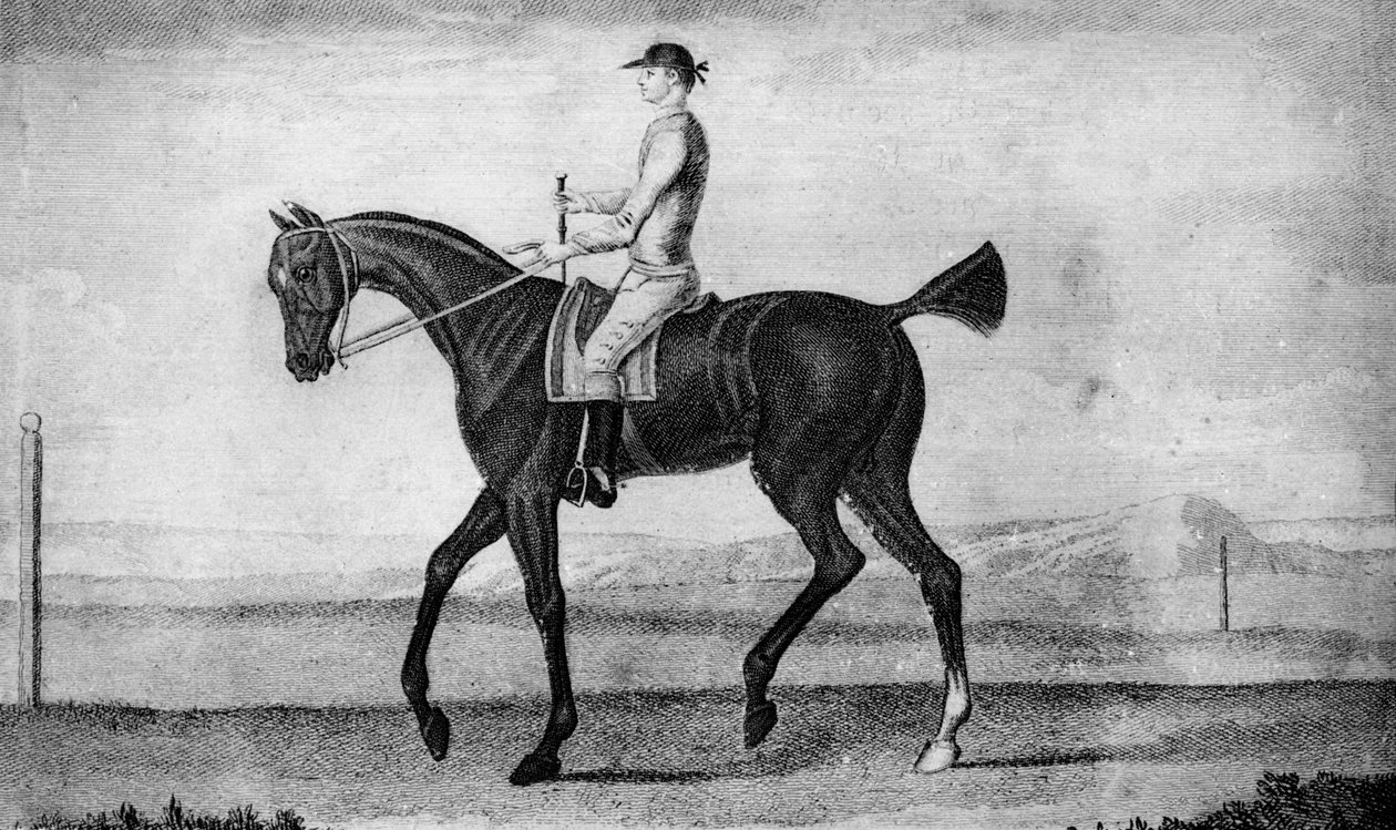 Malý řidič, c1850-1900, 1911 od Unbekannt