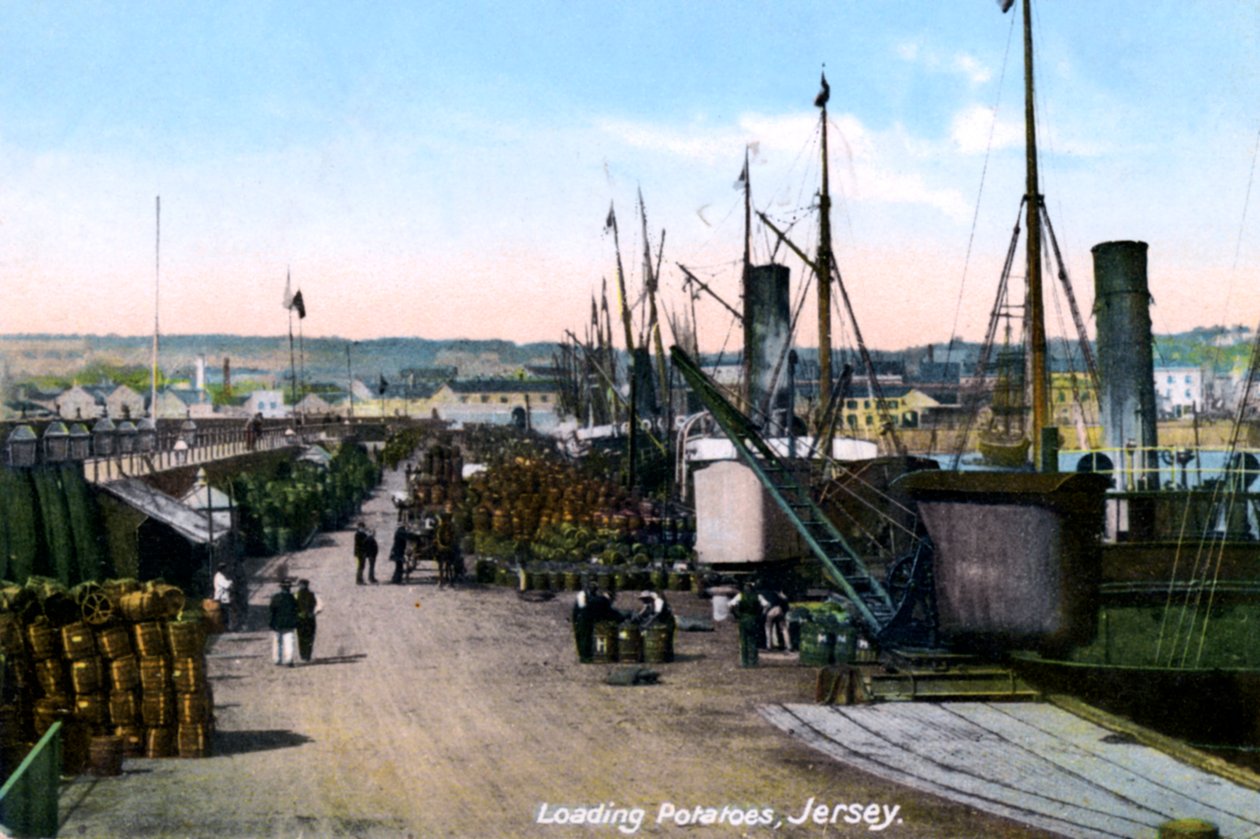 Loading Potatoes, Jersey, 1908 od Unbekannt