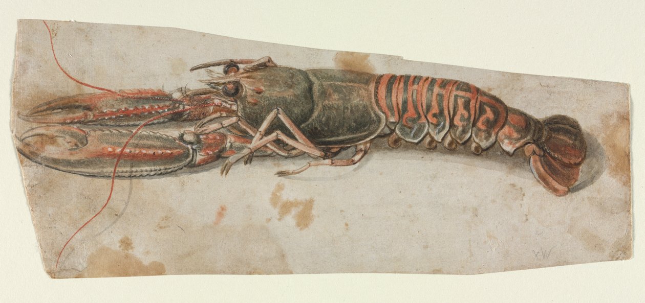 Humr, 1600s. od Unbekannt