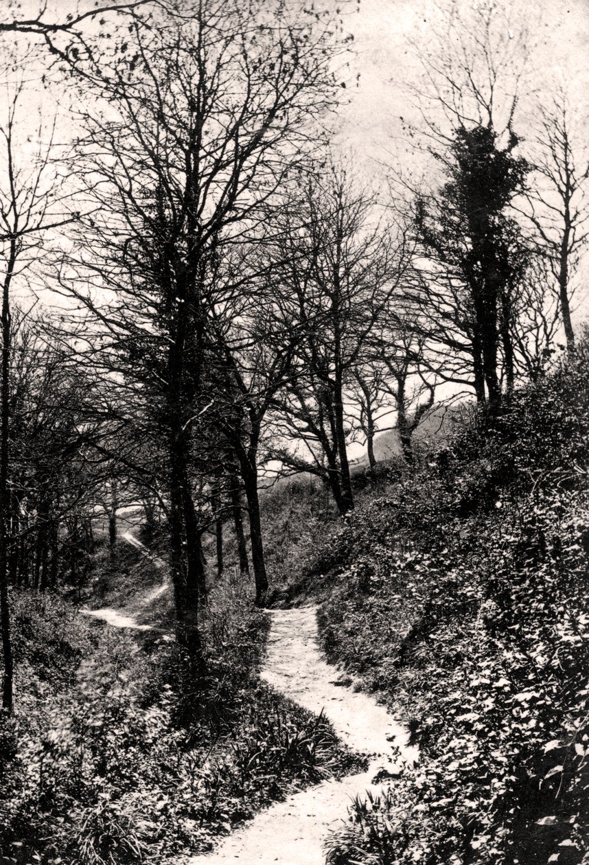 Lovers Lane, Fairlight, Hastings, Sussex od Unbekannt