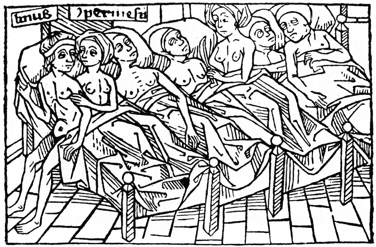 Lynceus a Hypermnestra, 1479 1964. od Unbekannt