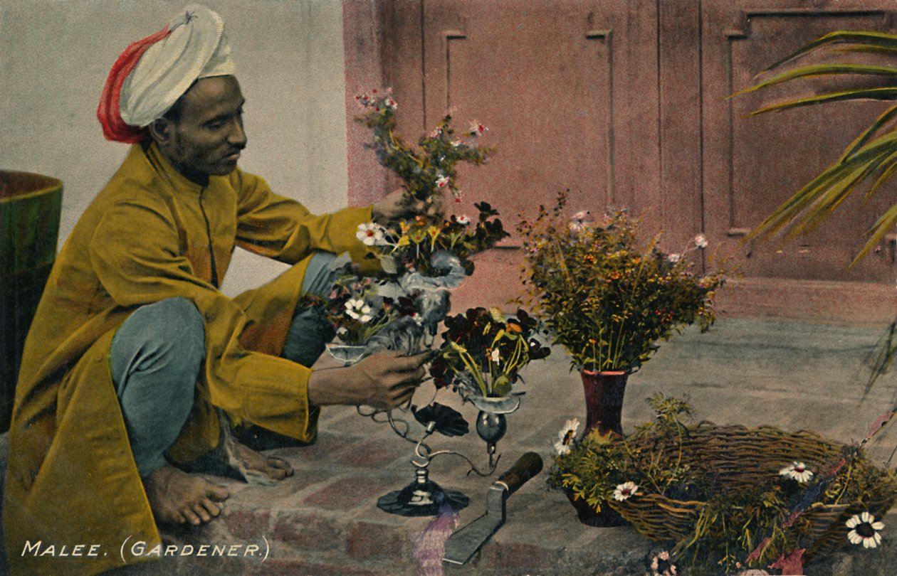 Malee. Zahradník, c1910. od Unbekannt