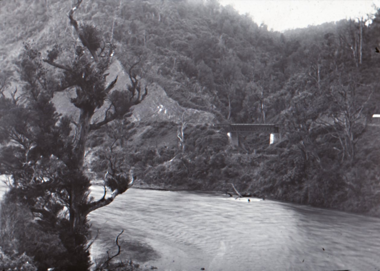 Manawatu Gorge, konec 19.-začátek 20. století. od Unbekannt