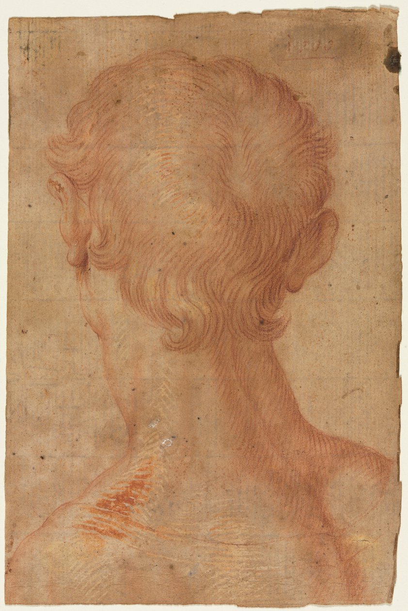 Mans Head zezadu, 16. století. od Unbekannt